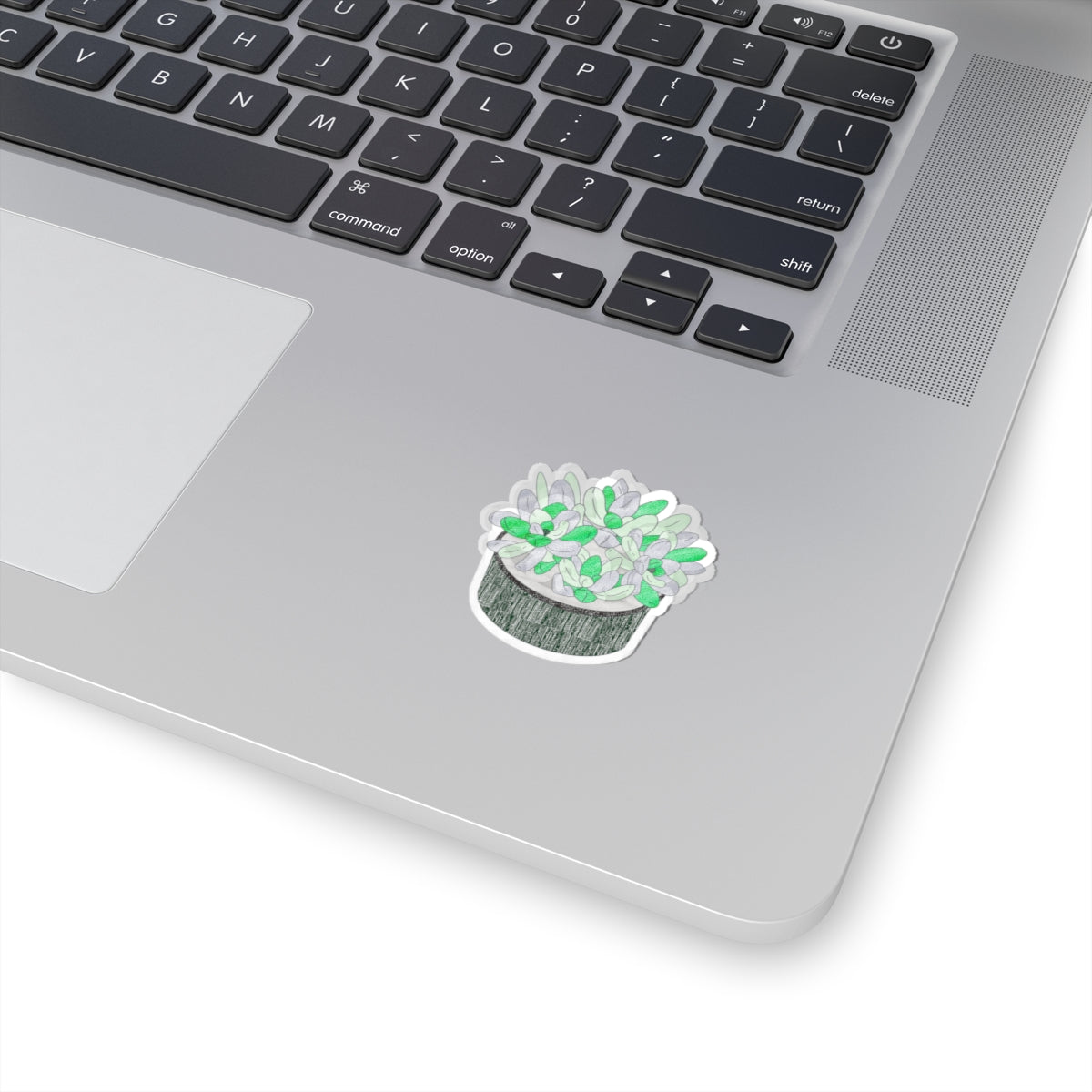 Succulent Plant Sticker