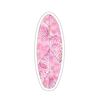 Pink Surf Board Sticker