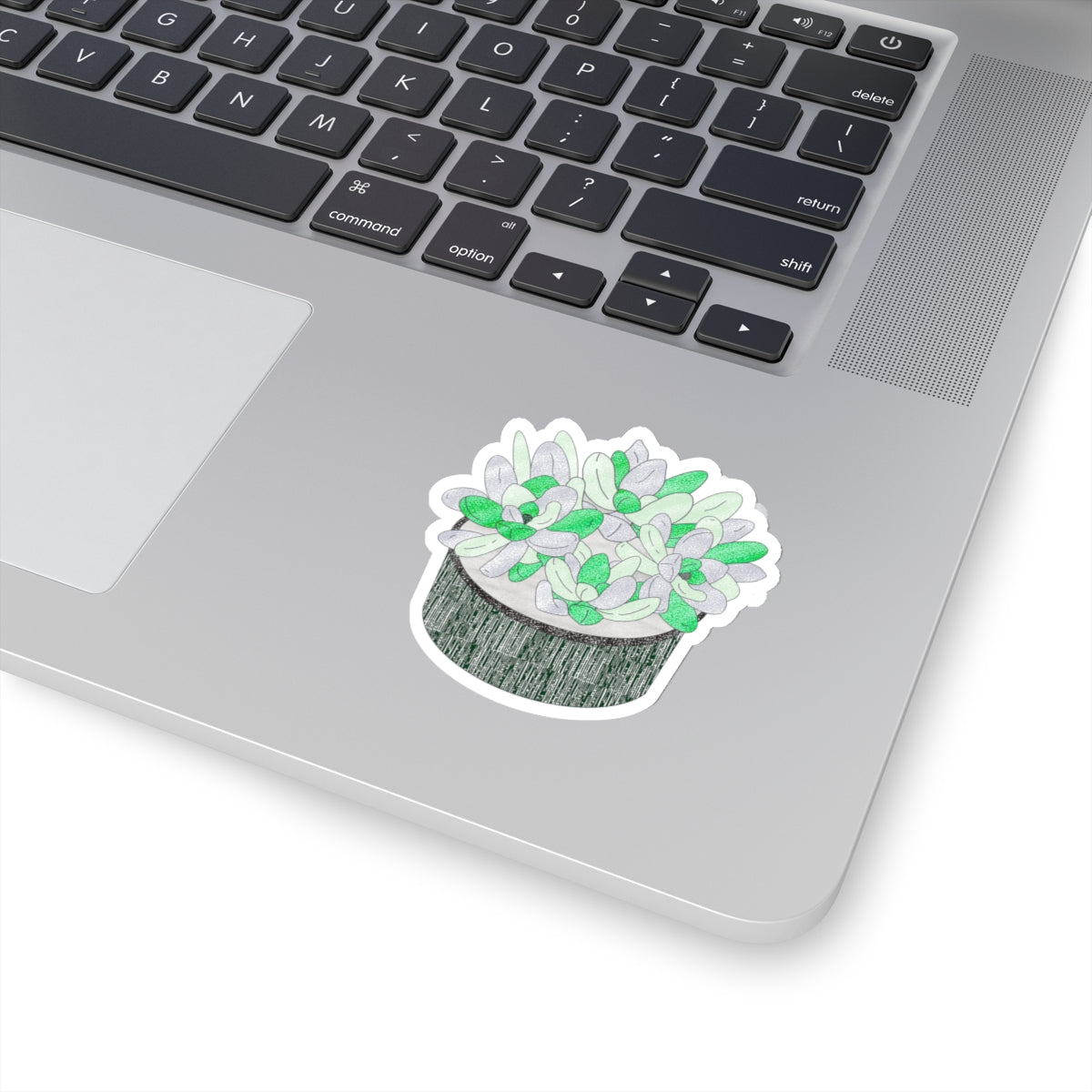 Succulent Plant Sticker