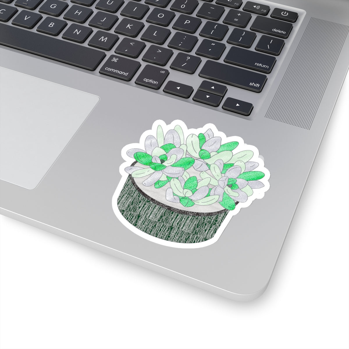 Succulent Plant Sticker